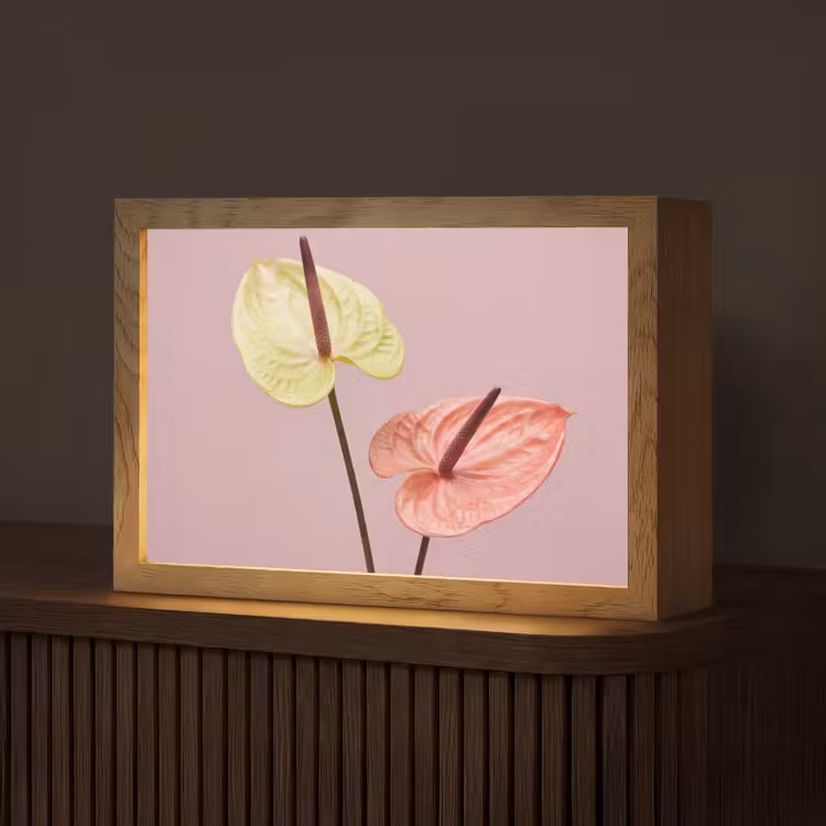Bloemen - Anthuriums - Geel - Roze Light Box met kabel (Tafellamp) klein -z3d_website