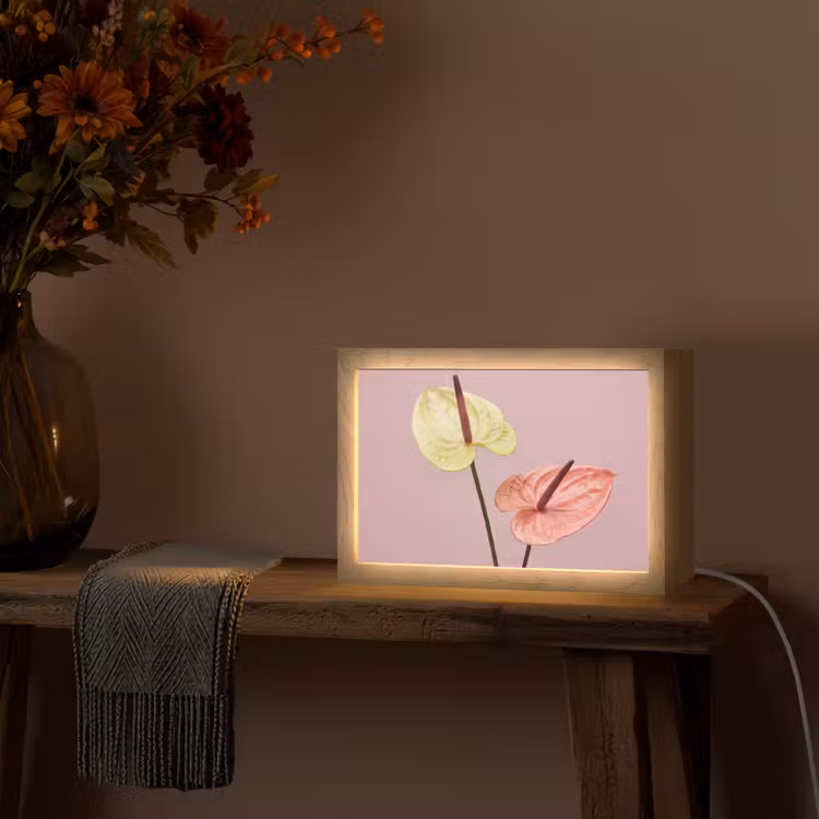 Bloemen - Anthuriums - Geel - Roze Light Box met kabel (Tafellamp) klein -sfeer4