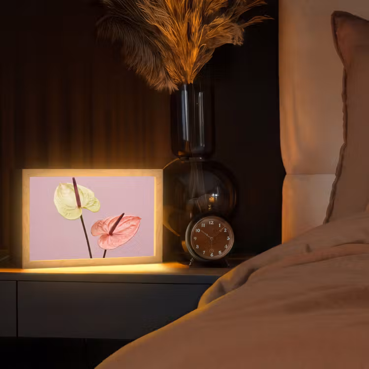 Bloemen - Anthuriums - Geel - Roze Light Box met kabel (Tafellamp) klein -sfeer1
