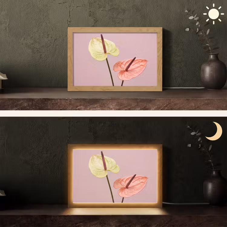 Bloemen - Anthuriums - Geel - Roze Light Box met kabel (Tafellamp) klein -sfeer3