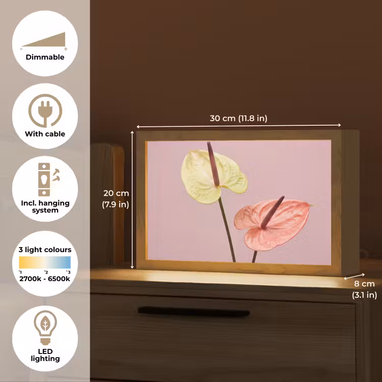 Bloemen - Anthuriums - Geel - Roze Light Box met kabel (Tafellamp) klein -USP_EN