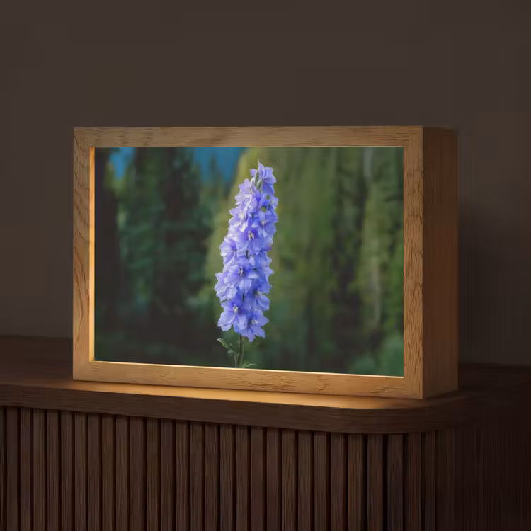 Bloemen - Blauw - Dennenboom Light Box met kabel (Tafellamp) klein -z3d_website