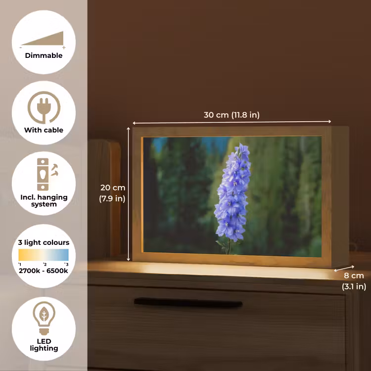 Bloemen - Blauw - Dennenboom Light Box met kabel (Tafellamp) klein -USP_EN