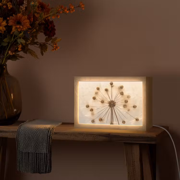 Bloemen - Bruin - Planten - Botanisch Light Box met kabel (Tafellamp) klein -sfeer4