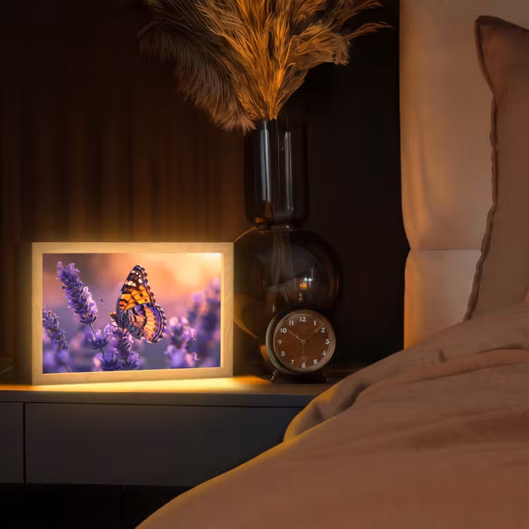 Bloemen - Vlinder - Lavendel - Bloem - Natuur Light Box met kabel (Tafellamp) klein -sfeer1