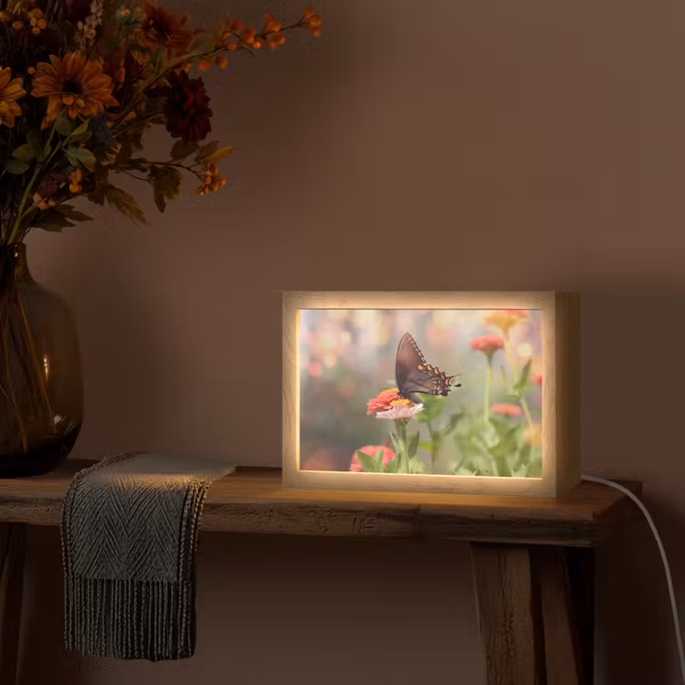 Bloemen - Vlinder - Natuur - Bloem Light Box met kabel (Tafellamp) klein -sfeer4