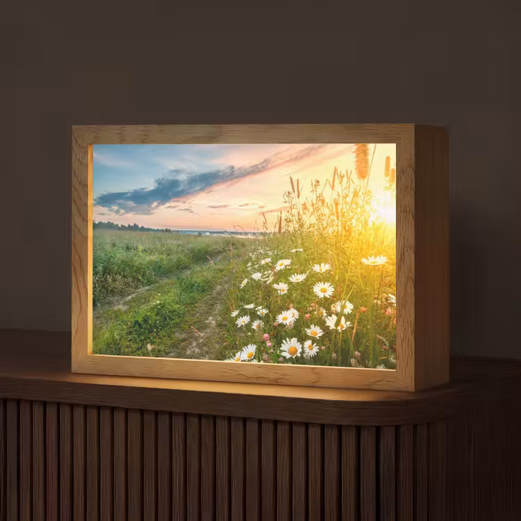 Bloemen - Madelief - Natuur - Zon - Horizon Light Box met kabel (Tafellamp) klein -z3d_website