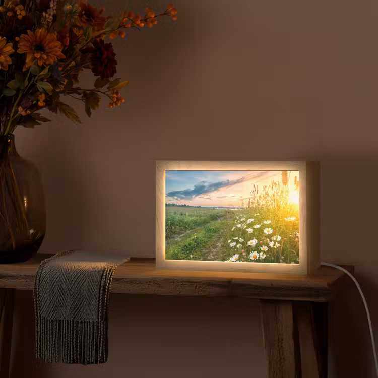 Bloemen - Madelief - Natuur - Zon - Horizon Light Box met kabel (Tafellamp) klein -sfeer4