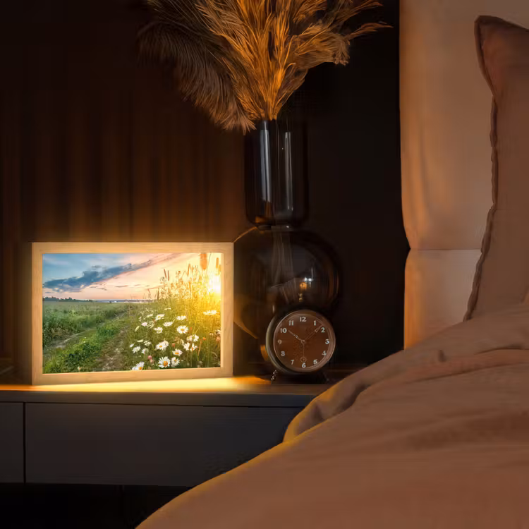 Bloemen - Madelief - Natuur - Zon - Horizon Light Box met kabel (Tafellamp) klein -sfeer1