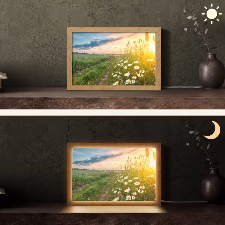 Bloemen - Madelief - Natuur - Zon - Horizon Light Box met kabel (Tafellamp) klein -sfeer3