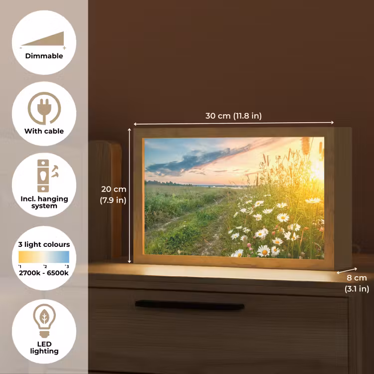 Bloemen - Madelief - Natuur - Zon - Horizon Light Box met kabel (Tafellamp) klein -USP_EN