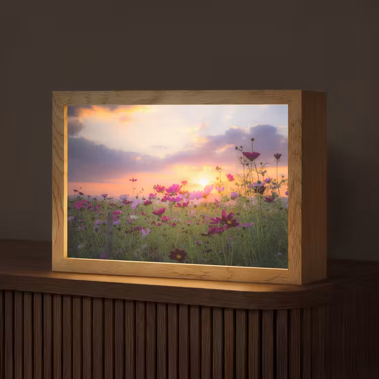 Bloemen - Roze - Zonsondergang - Natuur - Weide - Horizon Light Box met kabel (Tafellamp) klein -z3d_website