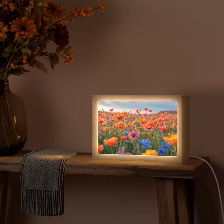 Bloemen - Klaprozen - Kleurrijk - Natuur Light Box met kabel (Tafellamp) klein -sfeer4