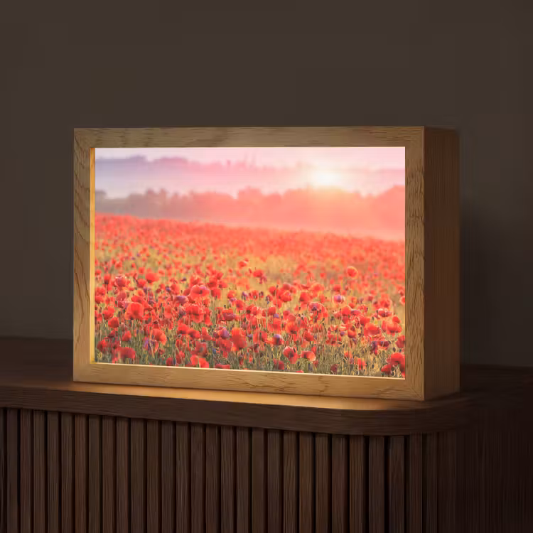 Bloemen - Klaprozen - Rood - Bloemenveld Light Box met kabel (Tafellamp) klein -z3d_website