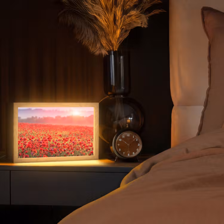 Bloemen - Klaprozen - Rood - Bloemenveld Light Box met kabel (Tafellamp) klein -sfeer1