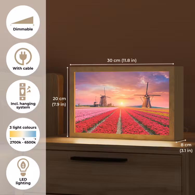 Bloemen - Tulpen - Bloemenveld - Molens - Holland Light Box met kabel (Tafellamp) klein -USP_EN