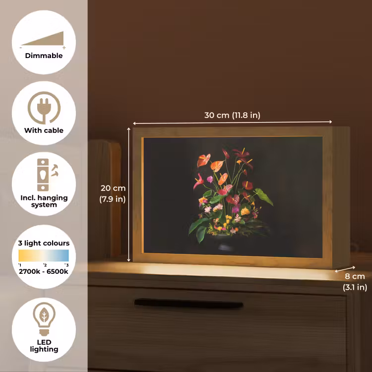 Bloemen - Vaas - Kleurrijk Light Box met kabel (Tafellamp) klein -USP_EN