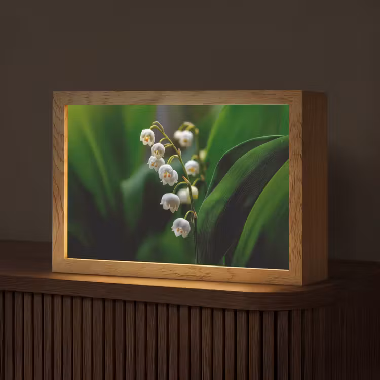 Bloemen - Wit - Bladeren - Lelietjes Light Box met kabel (Tafellamp) klein -z3d_website