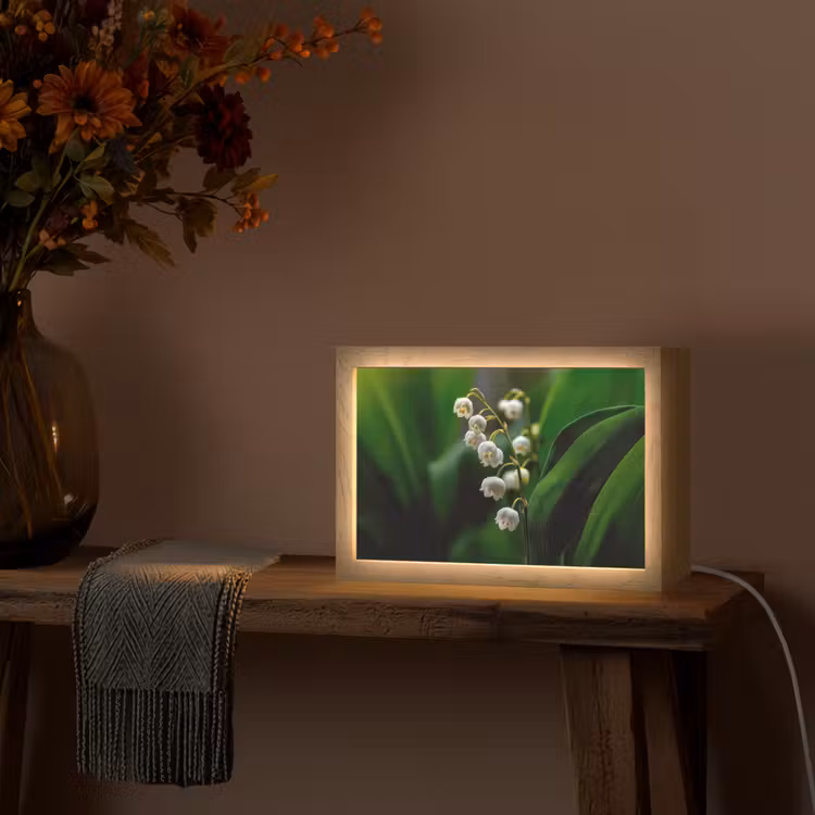 Bloemen - Wit - Bladeren - Lelietjes Light Box met kabel (Tafellamp) klein -sfeer4
