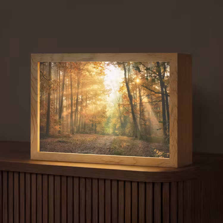 Bos - Herfst - Zon - Landschap - Natuur - Bomen - Bladeren Light Box met kabel (Tafellamp) klein -z3d_website