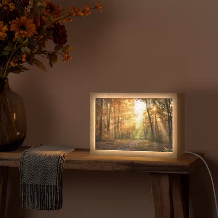 Bos - Herfst - Zon - Landschap - Natuur - Bomen - Bladeren Light Box met kabel (Tafellamp) klein -sfeer4