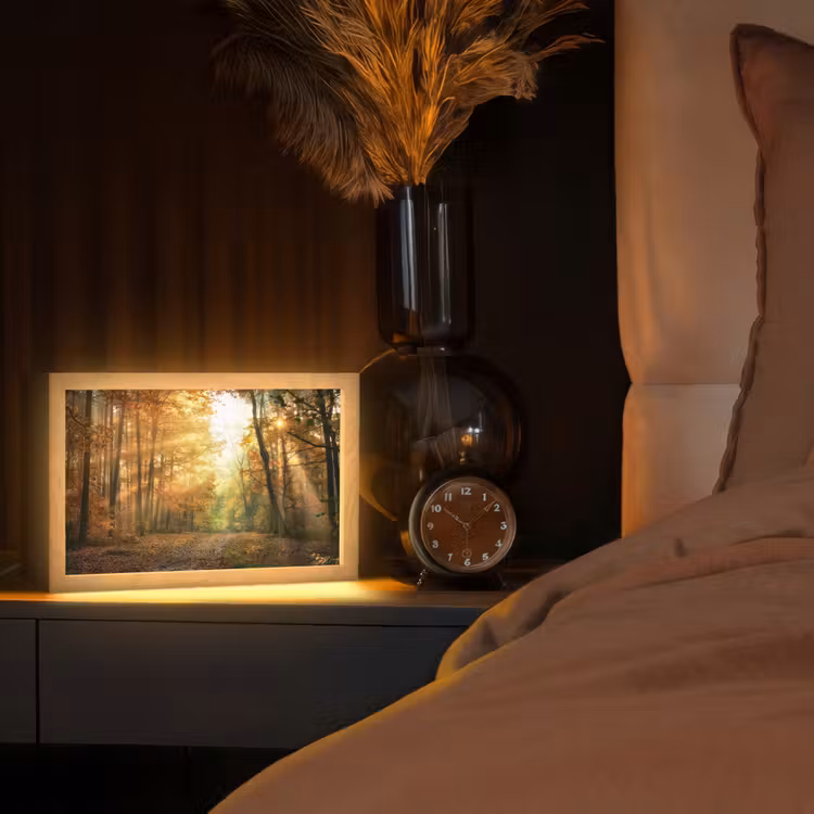 Bos - Herfst - Zon - Landschap - Natuur - Bomen - Bladeren Light Box met kabel (Tafellamp) klein -sfeer1