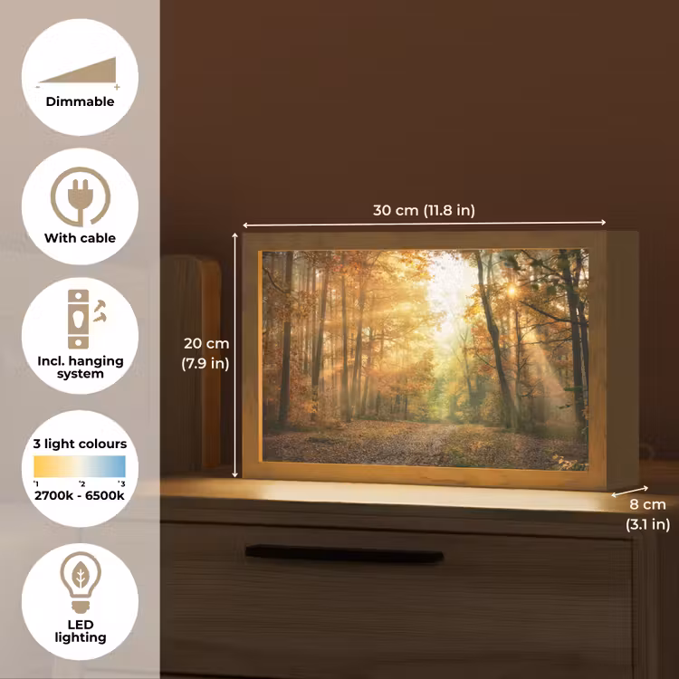 Bos - Herfst - Zon - Landschap - Natuur - Bomen - Bladeren Light Box met kabel (Tafellamp) klein -USP_EN