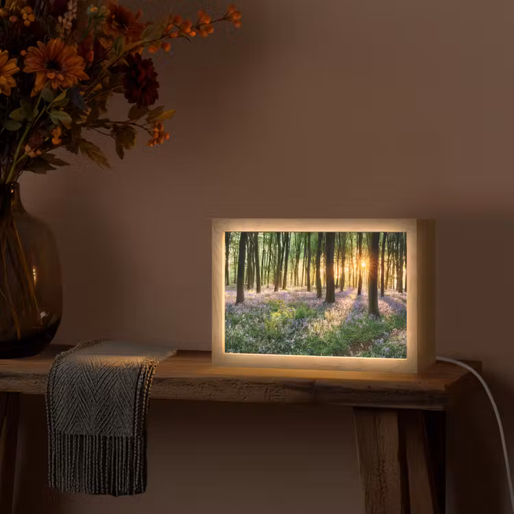 Bos - Bloemen - Lavendel - Zon - Paars - Natuur Light Box met kabel (Tafellamp) klein -sfeer4