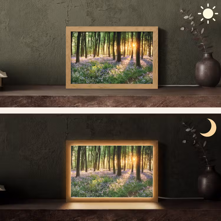 Bos - Bloemen - Lavendel - Zon - Paars - Natuur Light Box met kabel (Tafellamp) klein -sfeer3