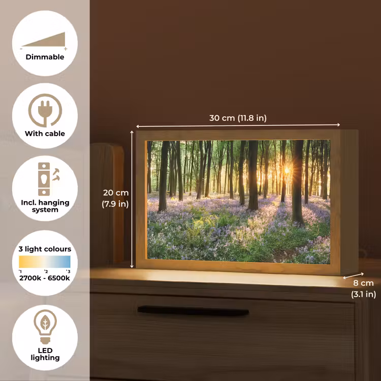Bos - Bloemen - Lavendel - Zon - Paars - Natuur Light Box met kabel (Tafellamp) klein -USP_EN