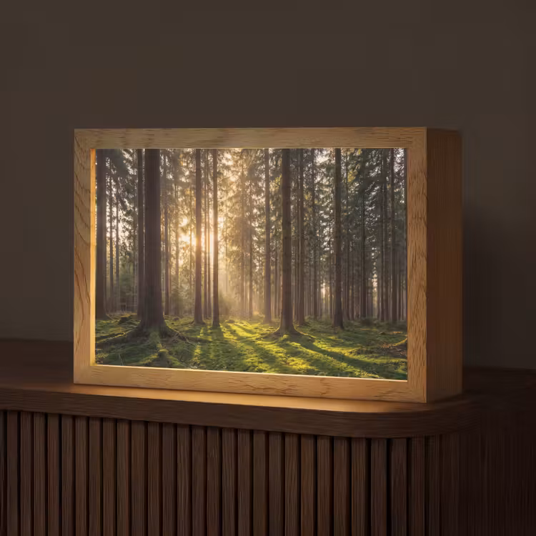 Bos - Gras - Zonlicht Light Box met kabel (Tafellamp) klein -z3d_website