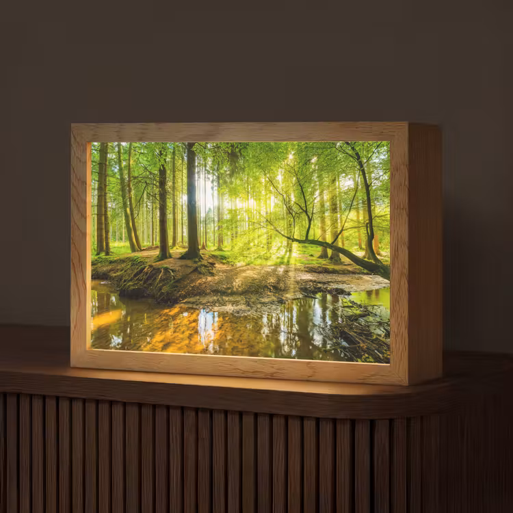 Bos - Landschap - Water - Bomen - Zon - Groen - Natuur Light Box met kabel (Tafellamp) klein -z3d_website
