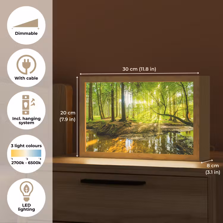 Bos - Landschap - Water - Bomen - Zon - Groen - Natuur Light Box met kabel (Tafellamp) klein -USP_EN