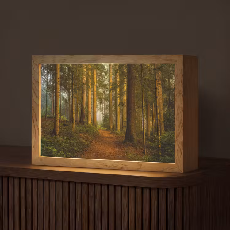 Bos - Natuur - Bomen - Landschap - Bladeren Light Box met kabel (Tafellamp) klein -z3d_website