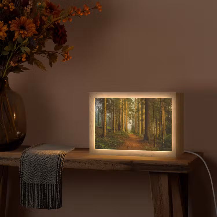 Bos - Natuur - Bomen - Landschap - Bladeren Light Box met kabel (Tafellamp) klein -sfeer4