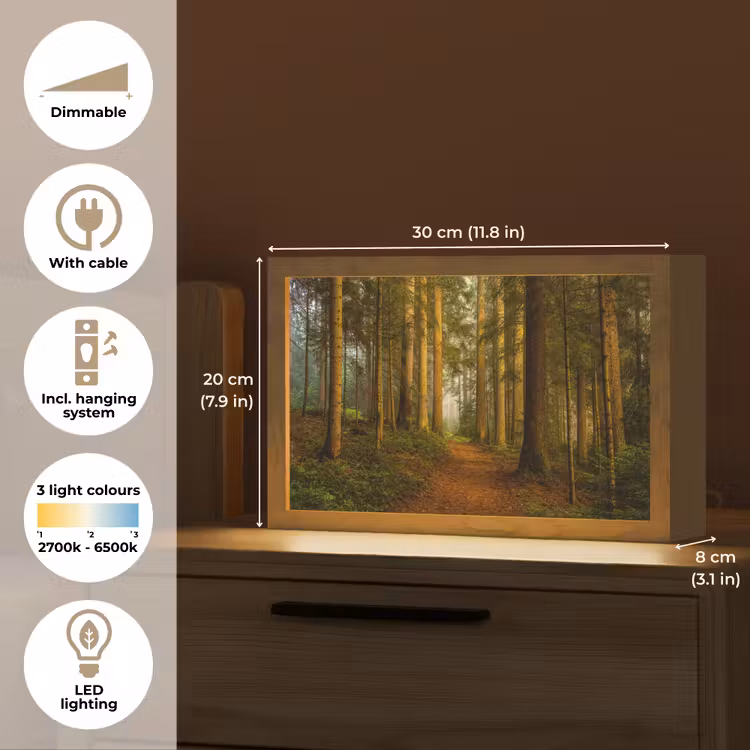 Bos - Natuur - Bomen - Landschap - Bladeren Light Box met kabel (Tafellamp) klein -USP_EN