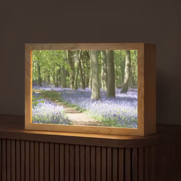 Bos - Pad - Bloemen - Paars - Groen - Natuur Light Box met kabel (Tafellamp) klein -z3d_website