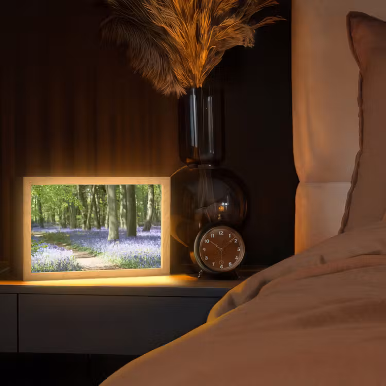 Bos - Pad - Bloemen - Paars - Groen - Natuur Light Box met kabel (Tafellamp) klein -sfeer1