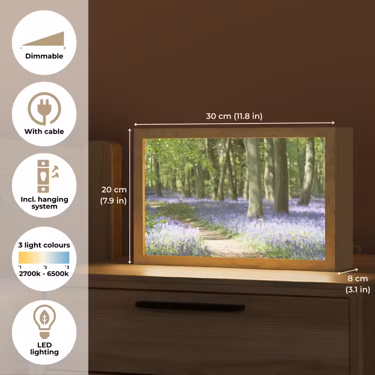 Bos - Pad - Bloemen - Paars - Groen - Natuur Light Box met kabel (Tafellamp) klein -USP_EN