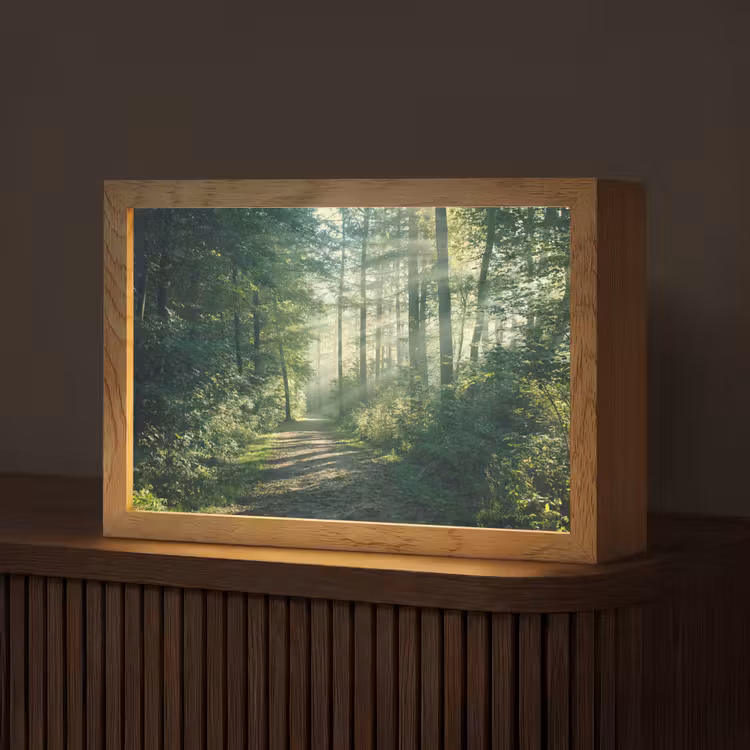 Bos - Pad - Zon - Bomen - Groen - Natuur Light Box met kabel (Tafellamp) klein -z3d_website