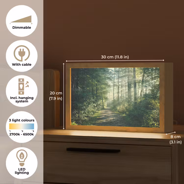 Bos - Pad - Zon - Bomen - Groen - Natuur Light Box met kabel (Tafellamp) klein -USP_EN