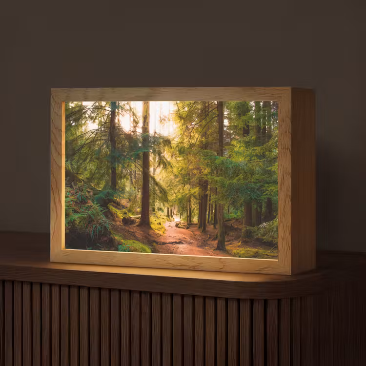 Bos - Pad - Bomen - Groen - Zon - Natuur Light Box met kabel (Tafellamp) klein -z3d_website