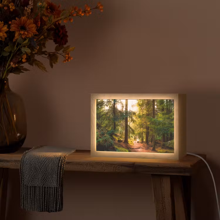 Bos - Pad - Bomen - Groen - Zon - Natuur Light Box met kabel (Tafellamp) klein -sfeer4