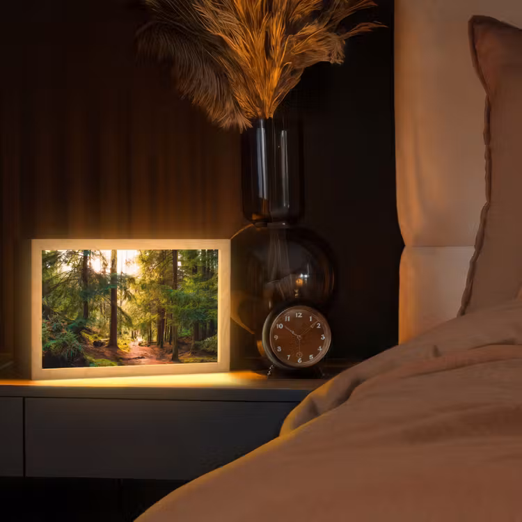 Bos - Pad - Bomen - Groen - Zon - Natuur Light Box met kabel (Tafellamp) klein -sfeer1