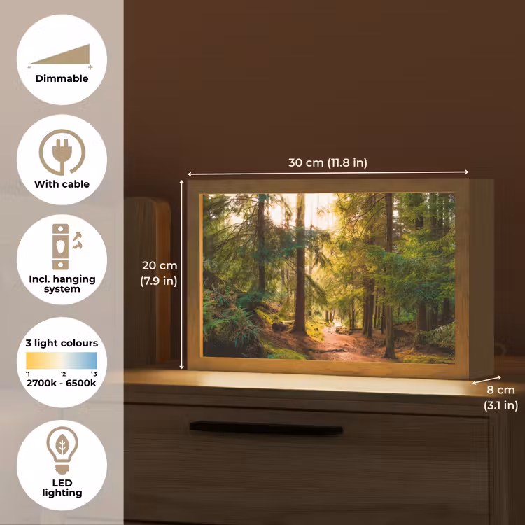 Bos - Pad - Bomen - Groen - Zon - Natuur Light Box met kabel (Tafellamp) klein -USP_EN
