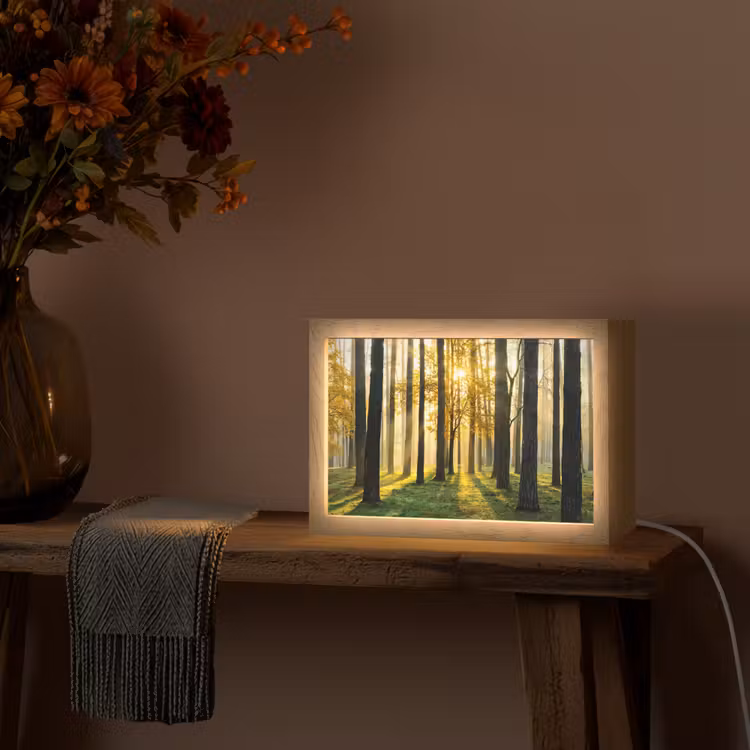 Bos - Zon - Bomen - Gras - Landschap - Natuur Light Box met kabel (Tafellamp) klein -sfeer4