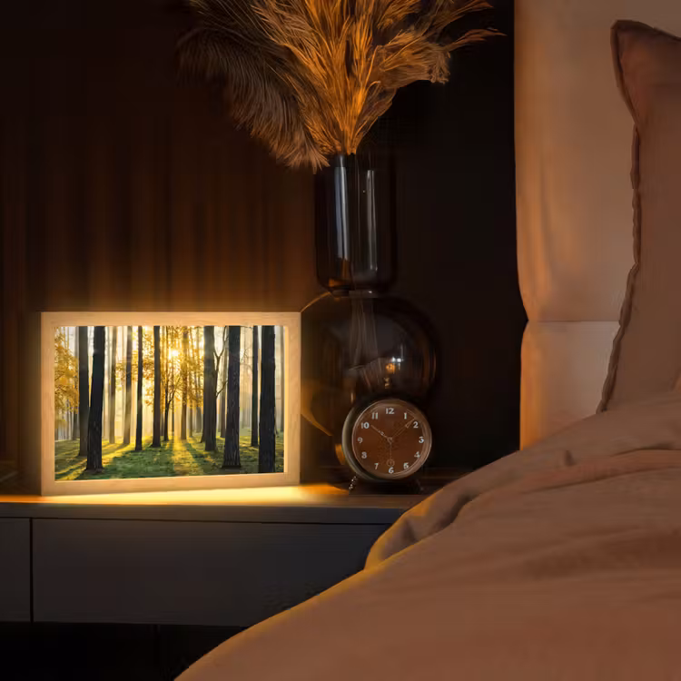 Bos - Zon - Bomen - Gras - Landschap - Natuur Light Box met kabel (Tafellamp) klein -sfeer1