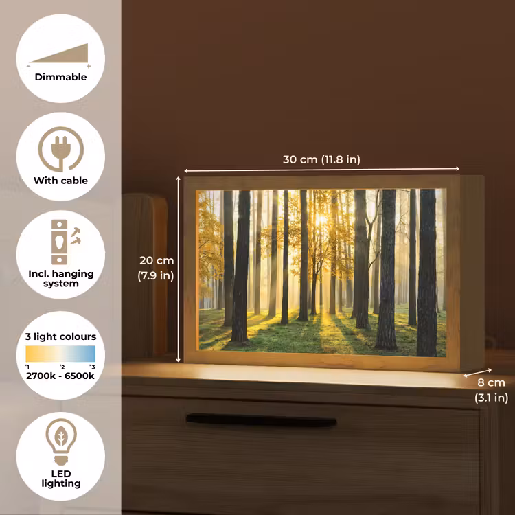 Bos - Zon - Bomen - Gras - Landschap - Natuur Light Box met kabel (Tafellamp) klein -USP_EN