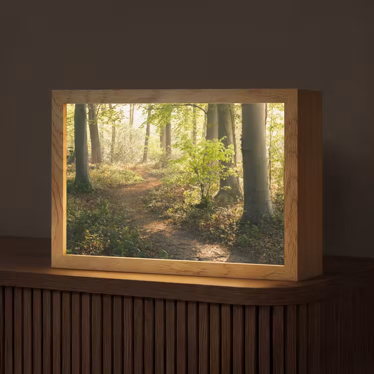 Bos - Bomen - Pad - Zon - Planten - Bladeren - Natuur Light Box met kabel (Tafellamp) klein -z3d_website