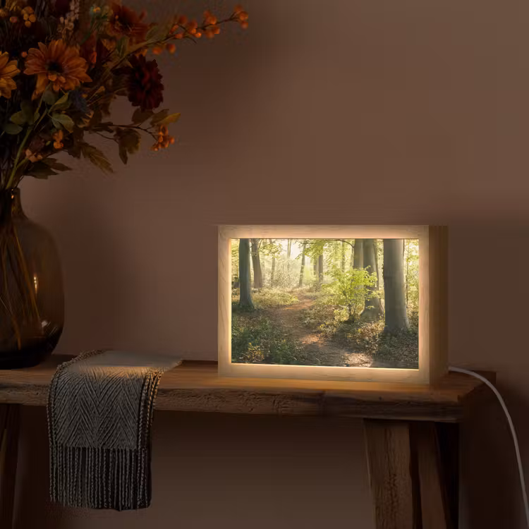 Bos - Bomen - Pad - Zon - Planten - Bladeren - Natuur Light Box met kabel (Tafellamp) klein -sfeer4